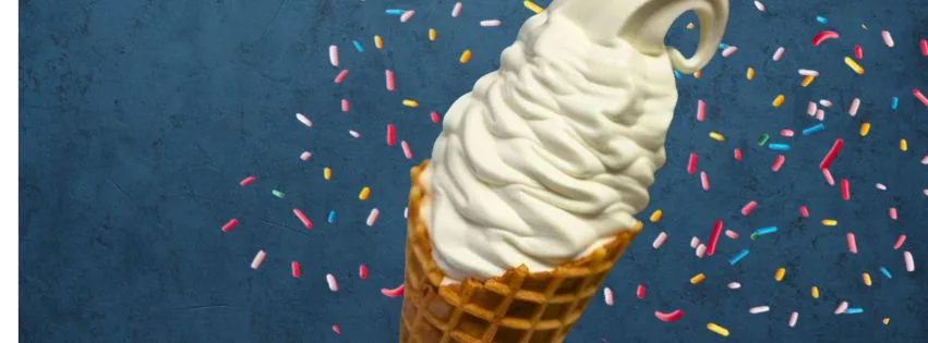 Branch's Soft Serve Vanilla Waffle Cone